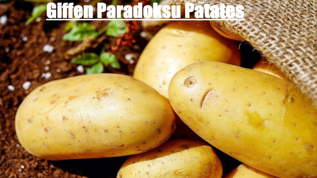 Giffen Paradoksu Patates Nedir?